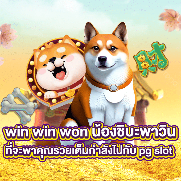 win win won น้องชิบะพาวิน ที่จะพาคุณรวยไปกับ pg slot